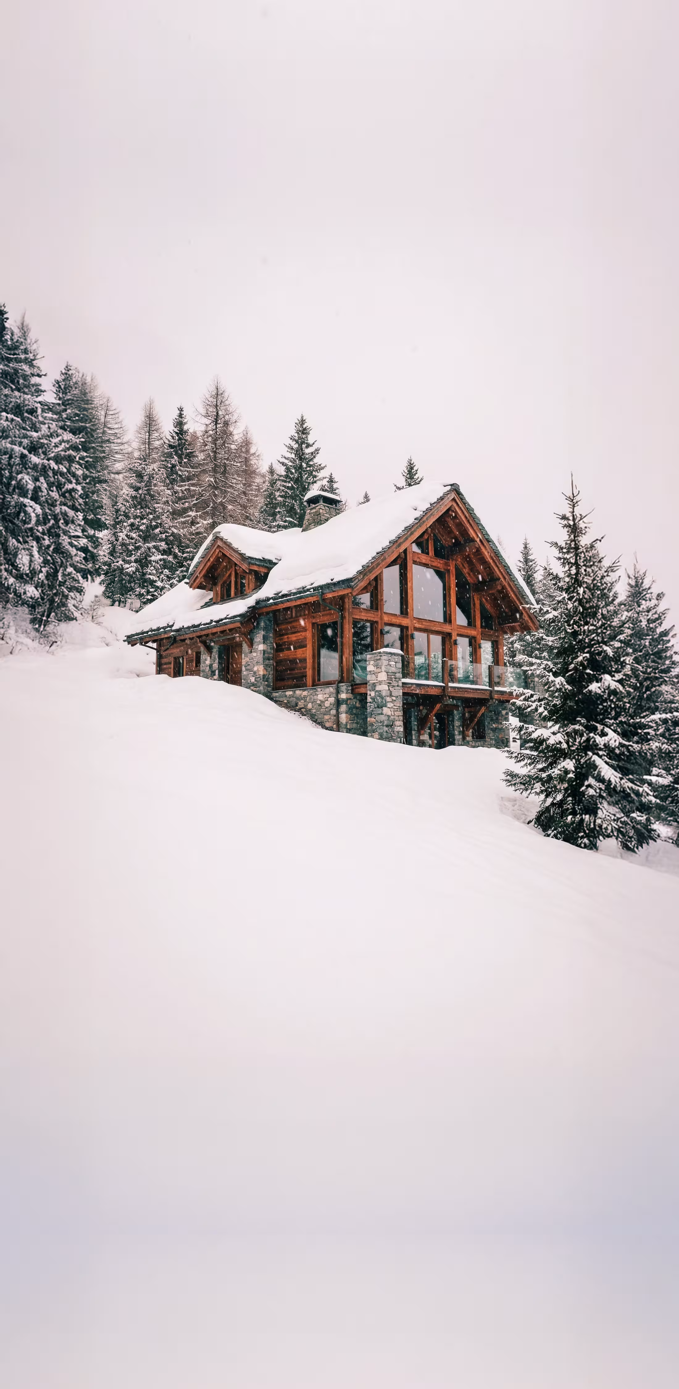 Chalet in the snow